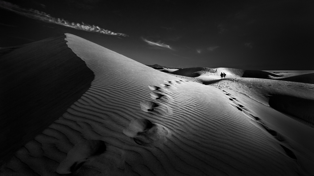 Dune Path